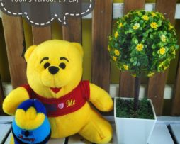 winni the pooh baju s