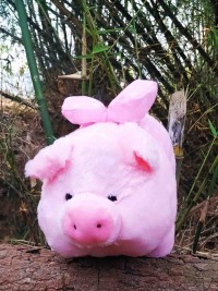jual boneka piglet