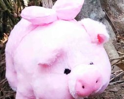 jual boneka piglet