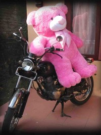Jual Boneka Teddy Bear besar warna pink