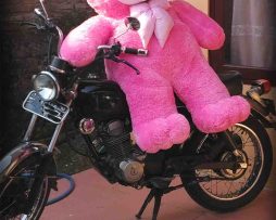 Jual Boneka Teddy Bear besar warna pink