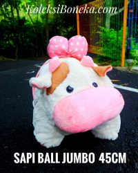 Sapi-Ball-Jumbo