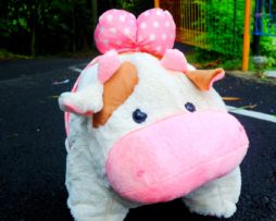 Sapi-Ball-Jumbo