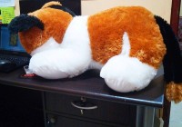 Jual Boneka Kucing Jumbo belang