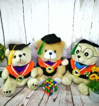 teddy bear wisuda