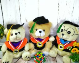 teddy bear wisuda