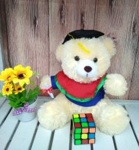 teddy bear wisuda