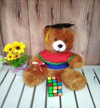 teddy bear wisuda