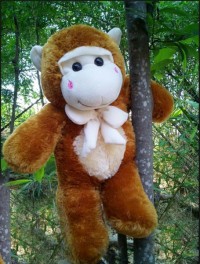 jual boneka monyet besar jual boneka monyet murah jual boneka monyet kaskus jual boneka monyet yoyo cici jual boneka monyet lucu harga boneka monyet besar harga boneka monyet jumbo harga boneka monyet lucu