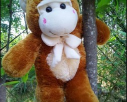 jual boneka monyet besar jual boneka monyet murah jual boneka monyet kaskus jual boneka monyet yoyo cici jual boneka monyet lucu harga boneka monyet besar harga boneka monyet jumbo harga boneka monyet lucu