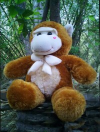 jual boneka monyet di jogja jual boneka monyet jakarta jual boneka monyet besar di jakarta jual boneka monyet ukuran besar jual boneka monyet yoyo