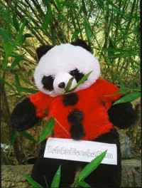 Jual Boneka Panda Warna Merah