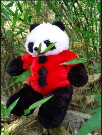 Jual Boneka Panda Warna Merah Lucu ukuran sedang