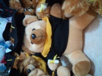 boneka wisuda teddy bear