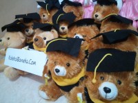 grosir boneka wisuda