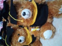 jual boneka wisuda murah