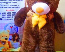 jual boneka teddy bear coklat, harga boneka teddy bear coklat besar, jual boneka teddy bear besar coklat, harga boneka teddy bear warna coklat, harga boneka teddy bear coklat