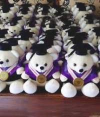 grosir boneka wisuda di semarang