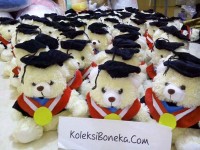 Souvenir Boneka wisuda