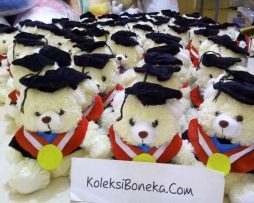 grosir boneka wisuda di semarang