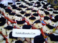 jual boneka wisuda di semarang
