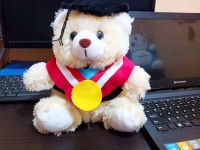 jual boneka wisuda semarang