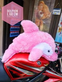dolphin L