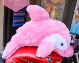 dolphin L