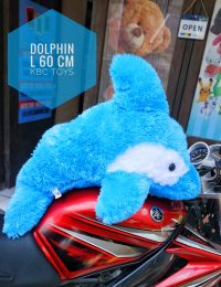 dolphin L