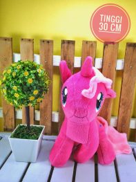 Little pony (2)