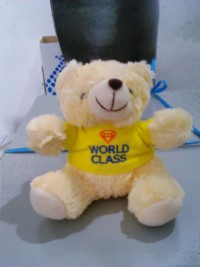 souvenir boneka teddy bear BPR