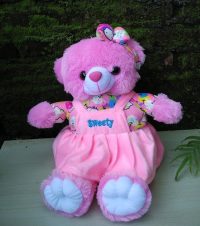 Boneka Bear Sweet Pink