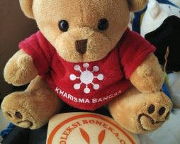 souvenir boneka teddy bear kualitas eksport