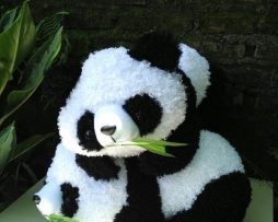 jual boneka panda