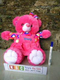 teddy bear sweety