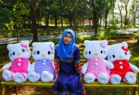 Boneka Hello Kitty Snail Jumbo (1)