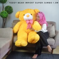 BEAR-SUPER-3