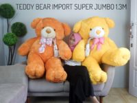 BEAR-SUPER-5
