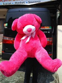 Boneka Teddy Bear Import Super Jumbo