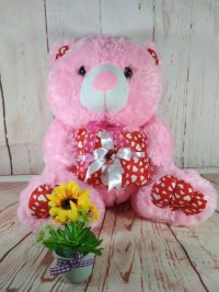 Boneka Teddy Bear Kado Pink