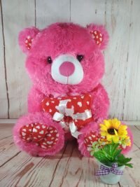 Boneka Teddy Bear Kado fanta