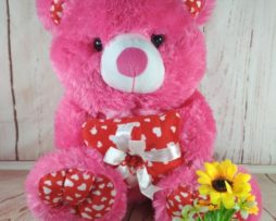 Boneka Teddy Bear Kado fanta