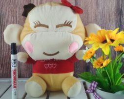 Monyet Cici M