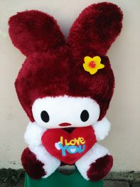 http://koleksiboneka.com/wp-content/uploads/2018/02/Boneka-Melody-Marun.jpg