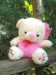http://koleksiboneka.com/wp-content/uploads/2018/02/Teddy-bear-pompom-snail.jpg
