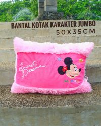Bantal_Kotak_Karakter_Jumbo