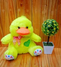 Jual Boneka Bebek Telapak
