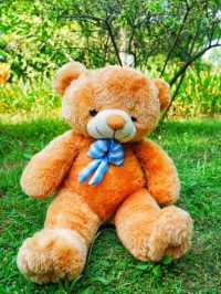 Boneka Bear import XL