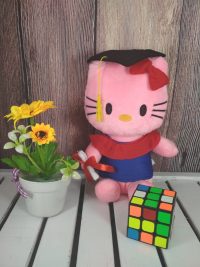 http://koleksiboneka.com/wp-content/uploads/2018/04/Hello-kitty-Wisuda.jpg
