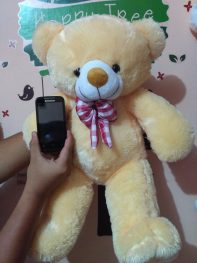 http://koleksiboneka.com/wp-content/uploads/2018/04/bear-impor-krem-XL.jpg